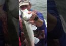 ПОСТАВКИ НА СУДАКА (ПОСТАВУШКИ) #рыбалка #судак #fishing