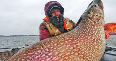 Я НЕ ВЕРЮ В ЭТО! ПЕРВЫЙ ЛЁД НЕ НУЖЕН! САМЫЕ БОЛЬШИЕ ЩУКОМОНСТРЫ ЖИЗНИ! 15, 13 кг и БОЛЕЕ!