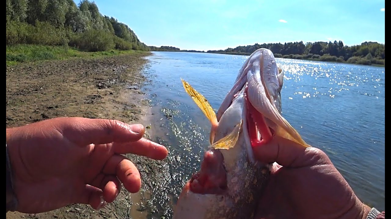 рыбалка на щуку на джиг видео