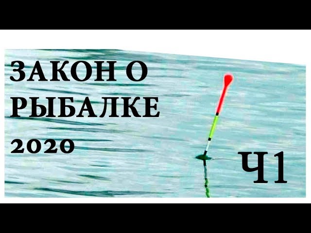 Рыболовный законы. Закон о рыболовстве. Штраф рыбалка.