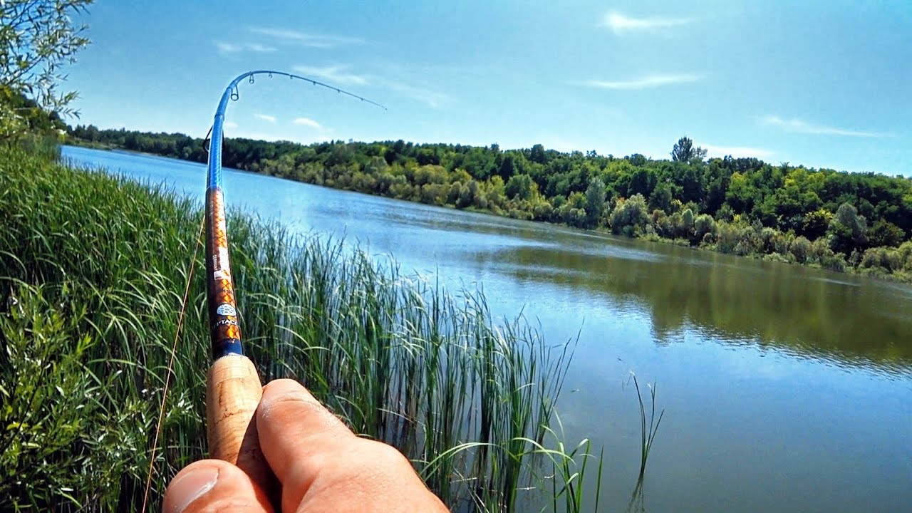 Спиннинг летом видео. Рыбалка в августе. Природа рыбалка. Рыбалка на щуку летом. Видео про рыбалку на спиннинг.